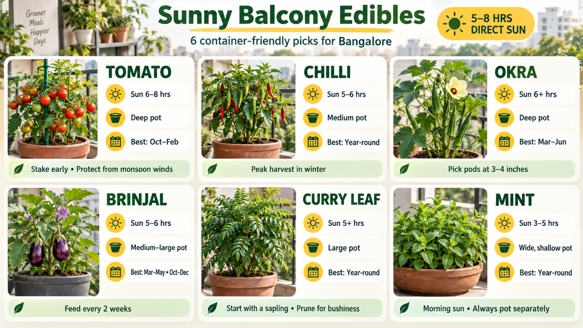 Container vegetables for a sunny Bangalore balcony including tomato, chilli, okra, brinjal, and mint